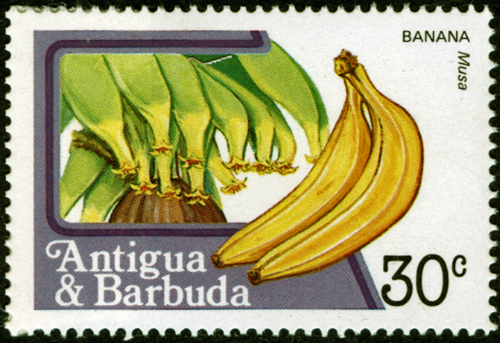 Antigua Banana Stamp