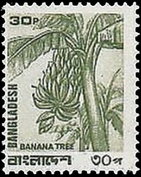 Bangladesh Banana Stamp