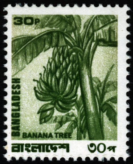 Bangladesh Banana Stamp