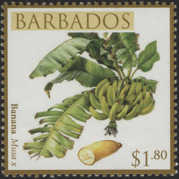Barbados Banana Stamp