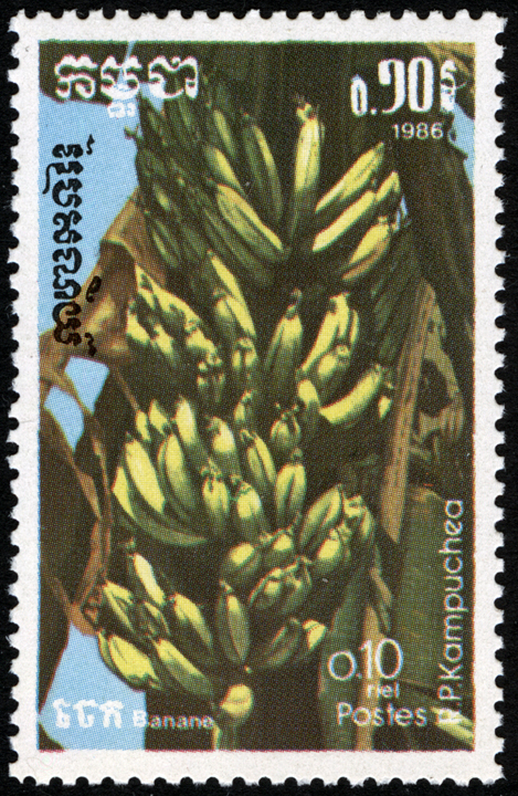 Cambodia Banana Stamp