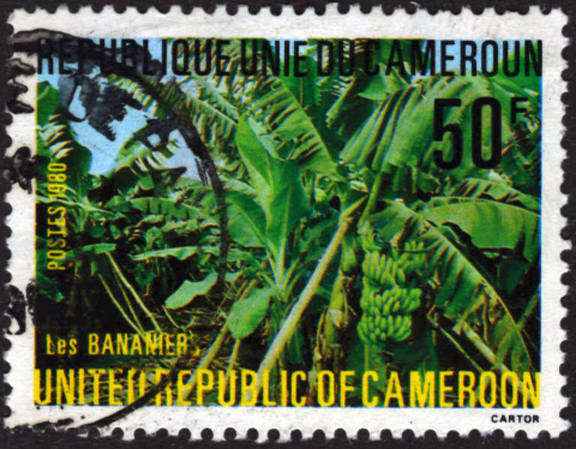 Cameroun Banana Stamp