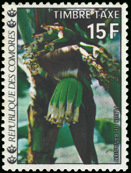 Comoro Islands Banana Stamp