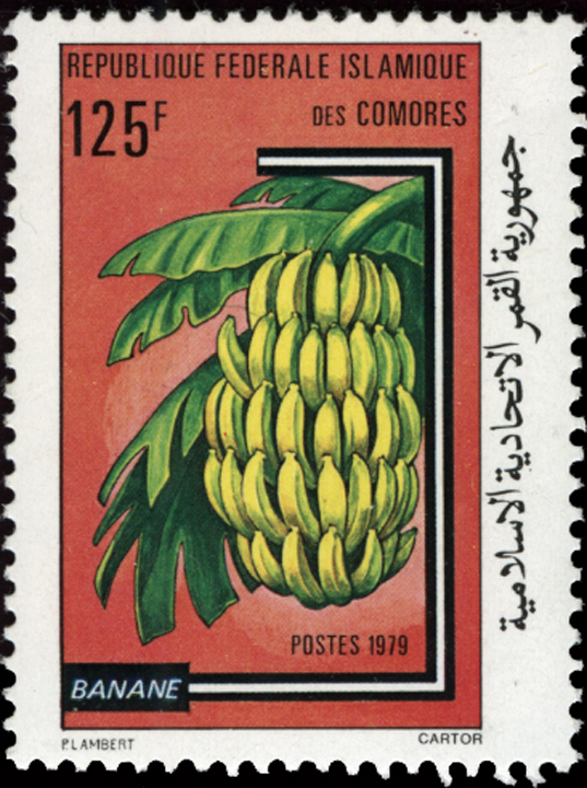 Comoro Islands Banana Stamp