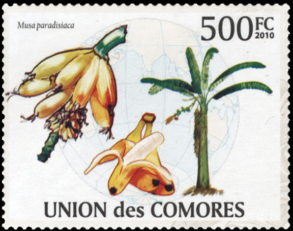 Comoro Islands Banana Stamp