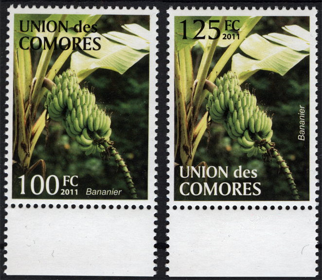 Comoro Islands Banana Stamp