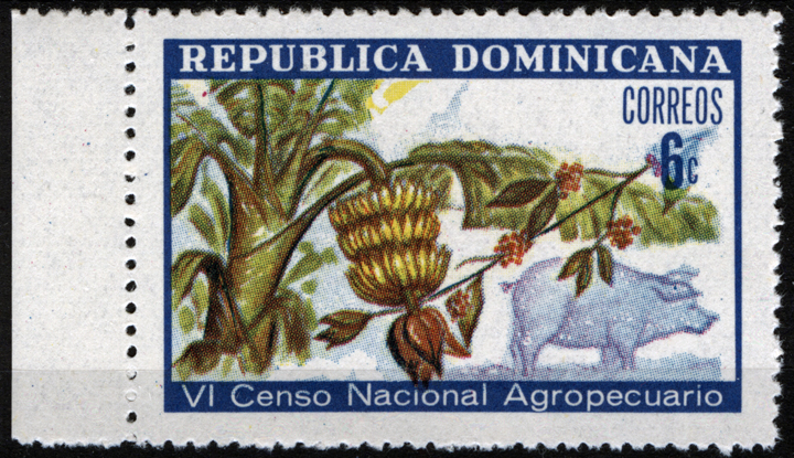 6 centavo bananas, coffee and pig stamp