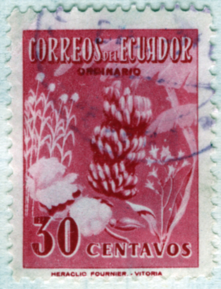 Ecuador Banana Stamp