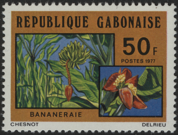 Banana Plantation Stamp of 1977