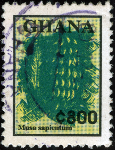 Ghana Banana Stamp