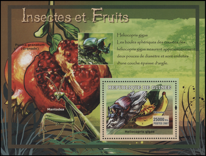 Guinea Banana Stamp