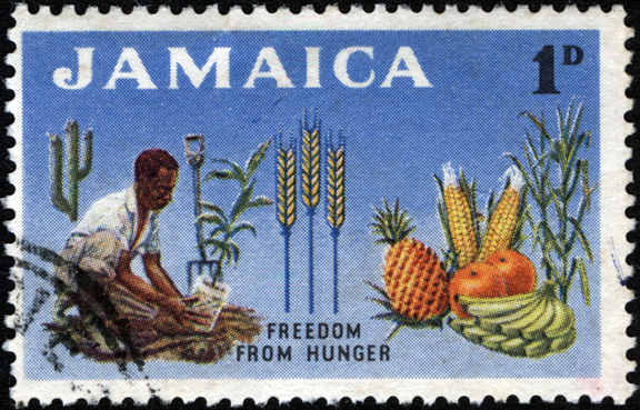 Jamaica Banana Stamp