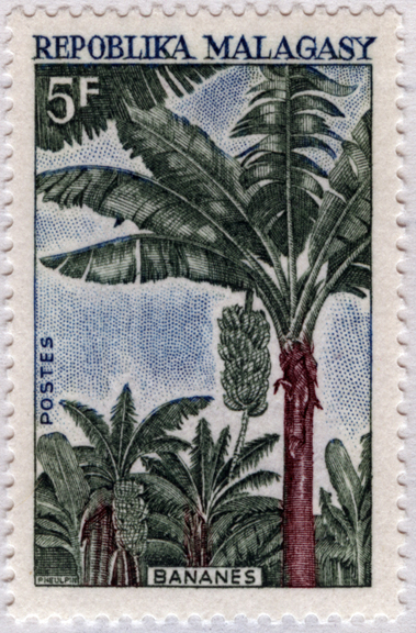 Malagasy Republic Banana Stamp
