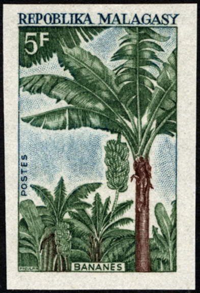 Malagasy Republic Banana Stamp