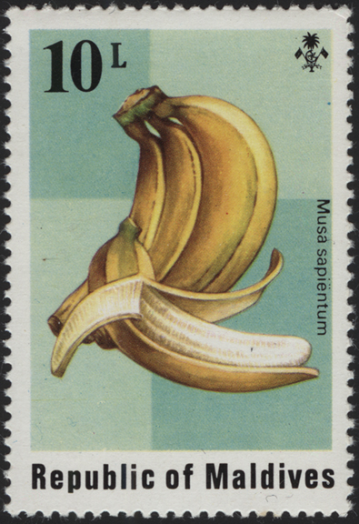 Maldive Islands Banana Stamp