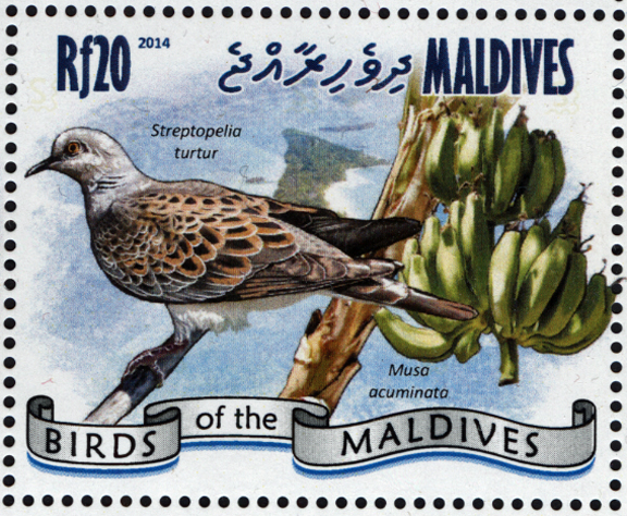 Maldive Islands Banana Stamp