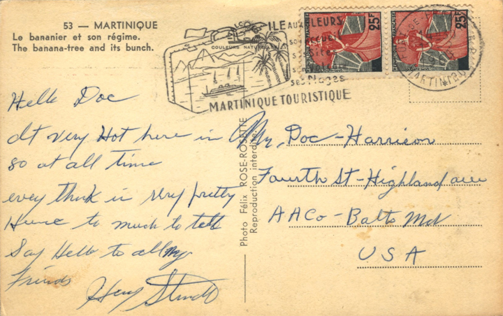 Banana Tree on Post Card