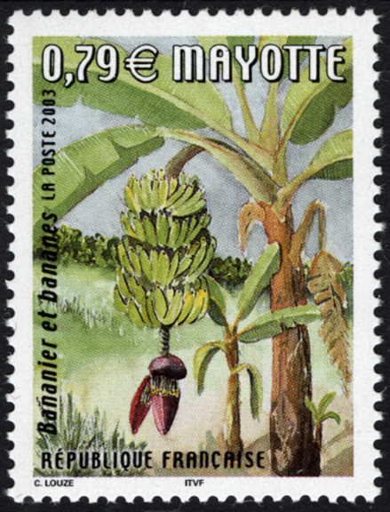 Mayotte Banana Stamp