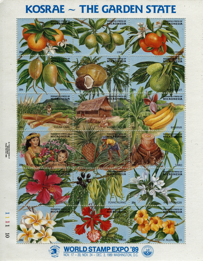Micronesia Banana Stamp