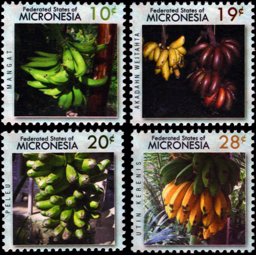 Micronesia Banana Stamp