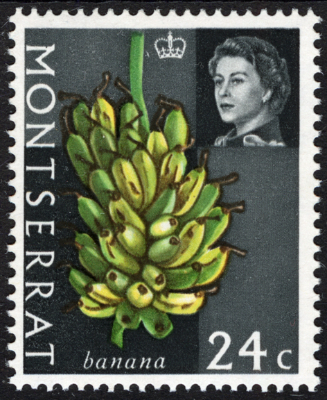 Montserrat Banana Stamp