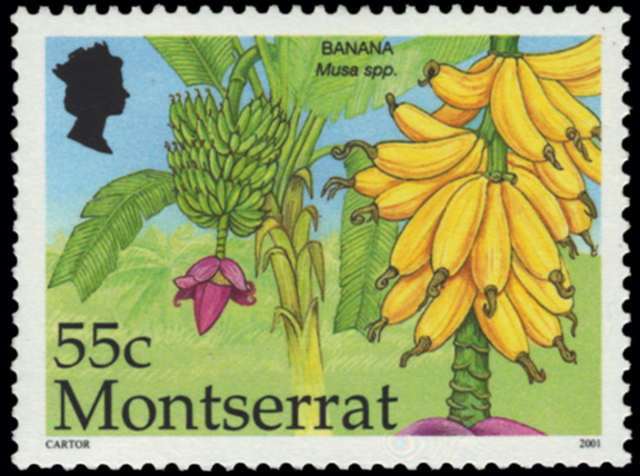 Montserrat Banana Stamp