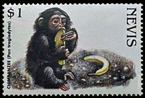 Nevis Banana Stamp