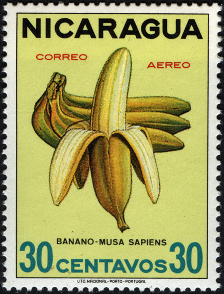 Nicaragua Agricultural Reform Stamp