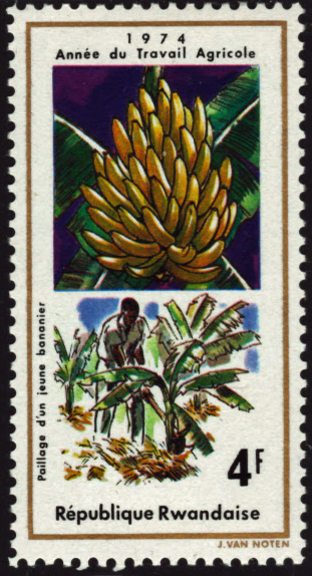 Rwanda Banana Stamp