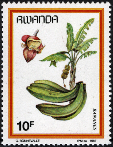 Rwanda Banana Stamp