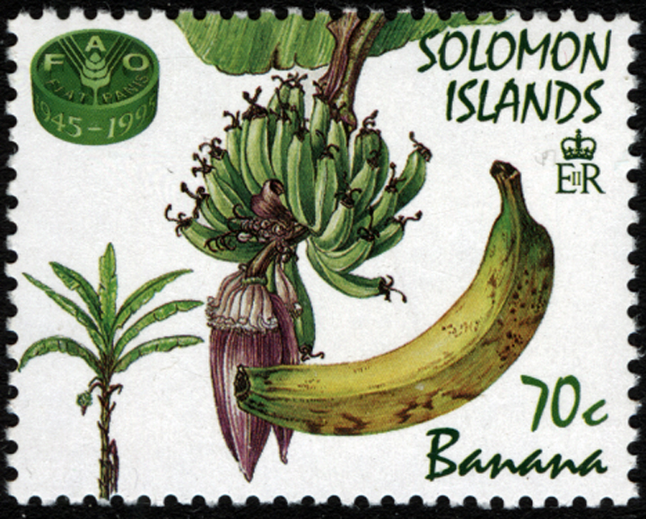 Solomon Islands Banana Stamp