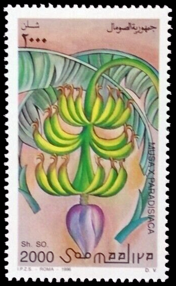 Somalia Banana Stamp