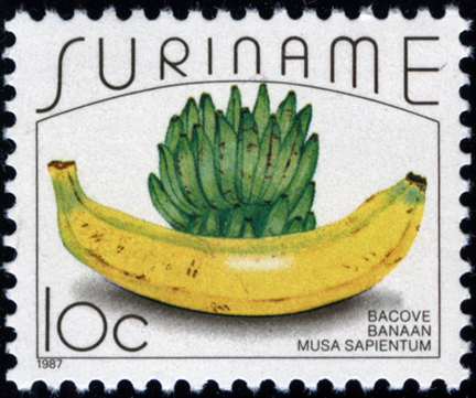 Surinam Banana Stamp