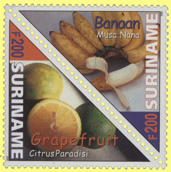 Surinam Banana Stamp