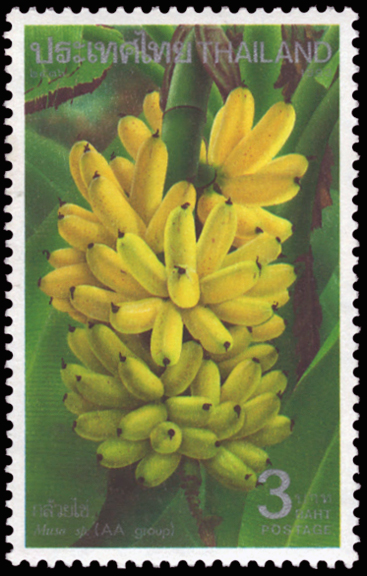 Thailand Banana Stamp
