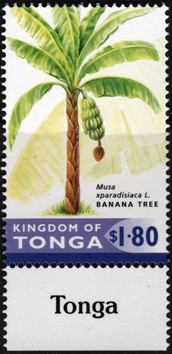 Tonga Banana Stamp