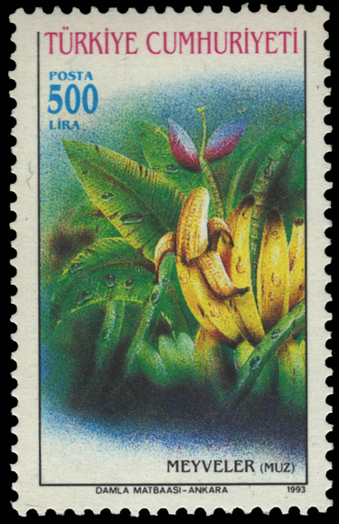 Turkey Banana Stamp