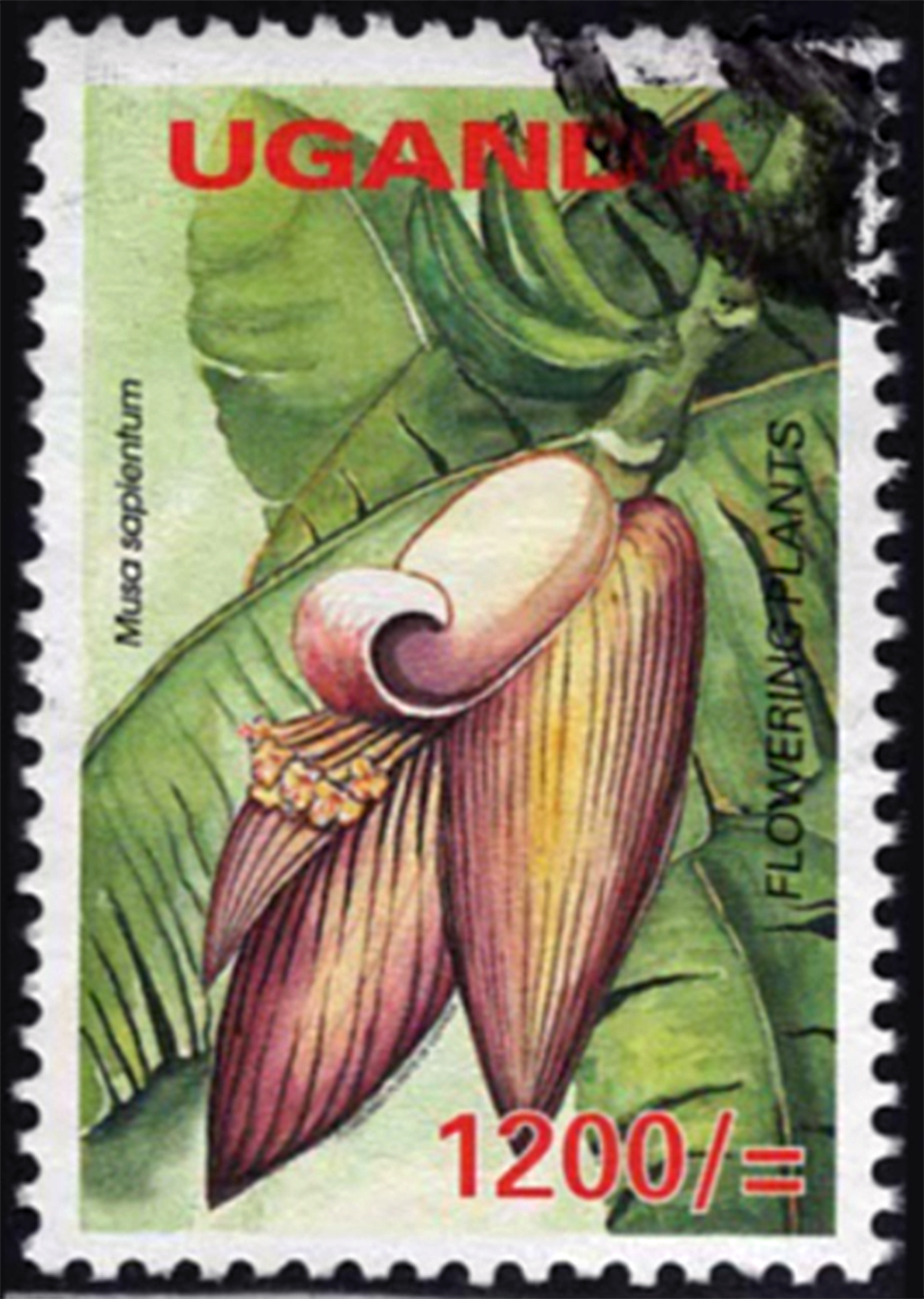 Uganda Banana Stamp