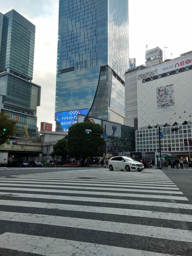 Shibuya Crossing