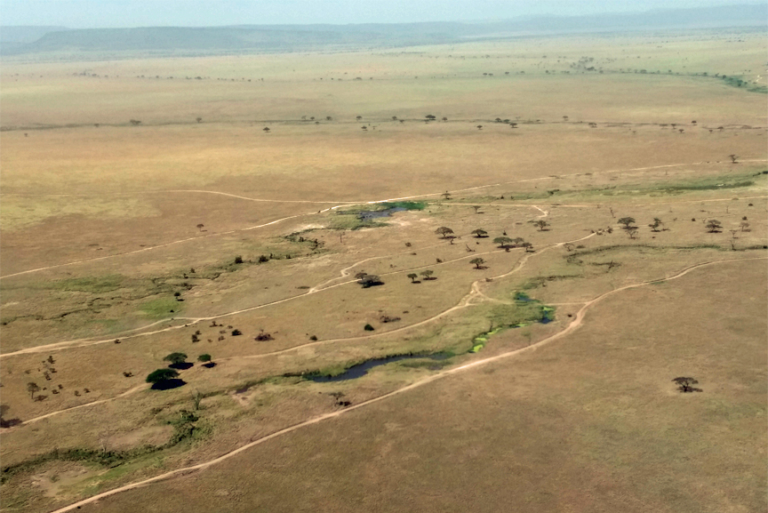 aerial view of Serengeti