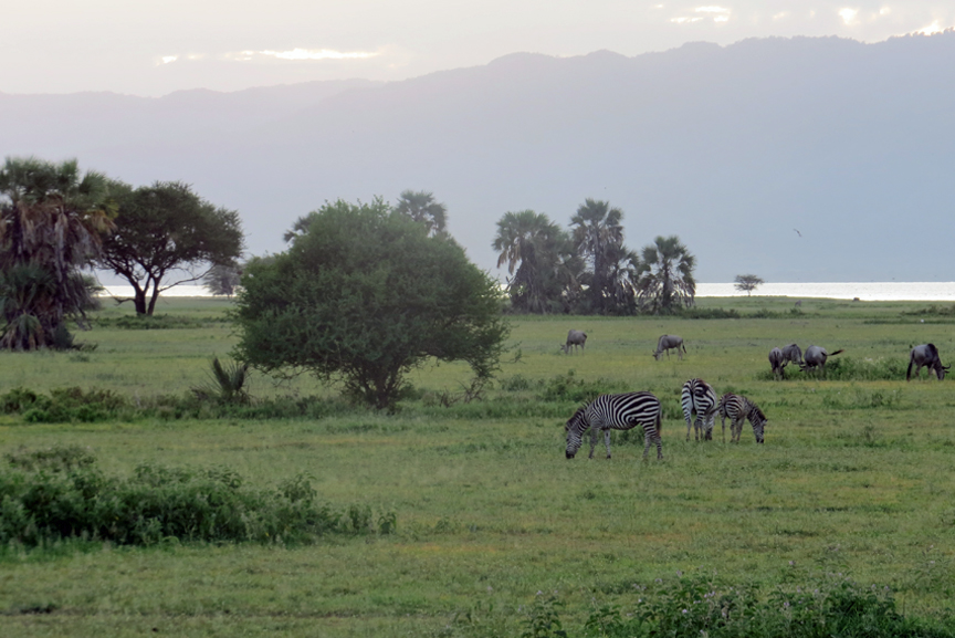 view from tented lodge