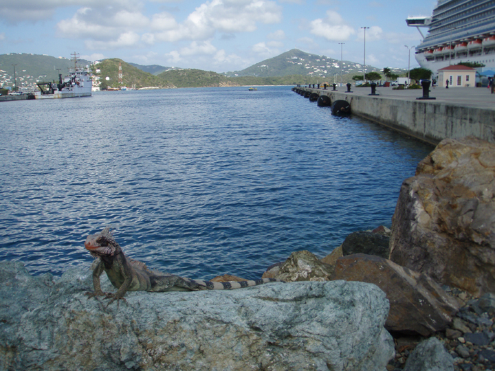 Caribbean Princess in St. Thomas