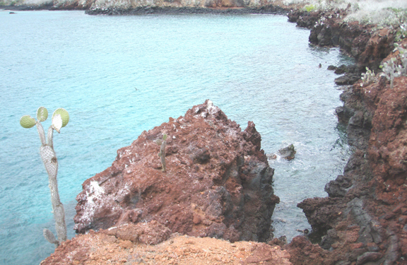 Rocky coast of Rabida