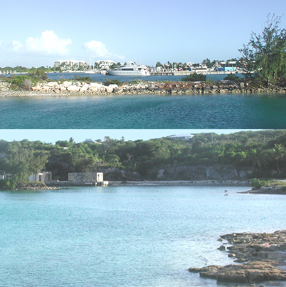 Turtle Cove Marina