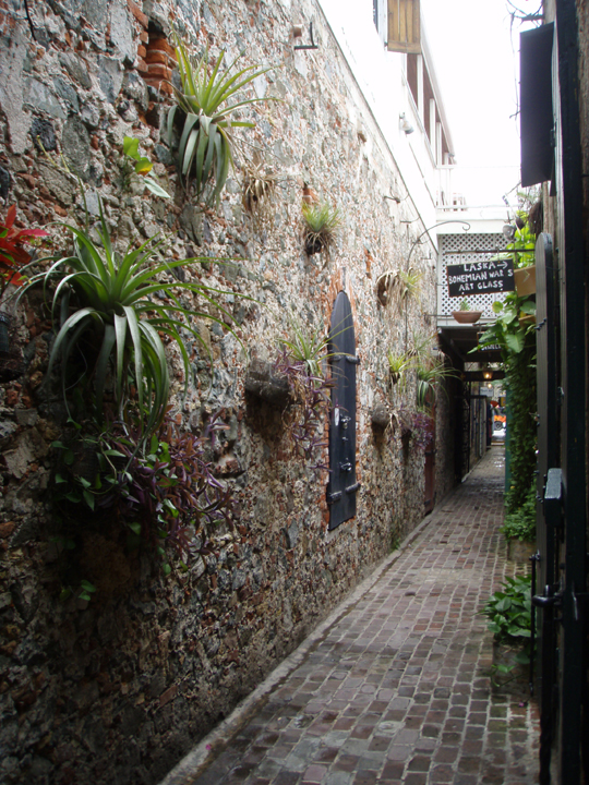 Alley in St. Thomas