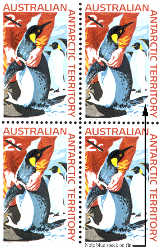 Banding Penguins Variety