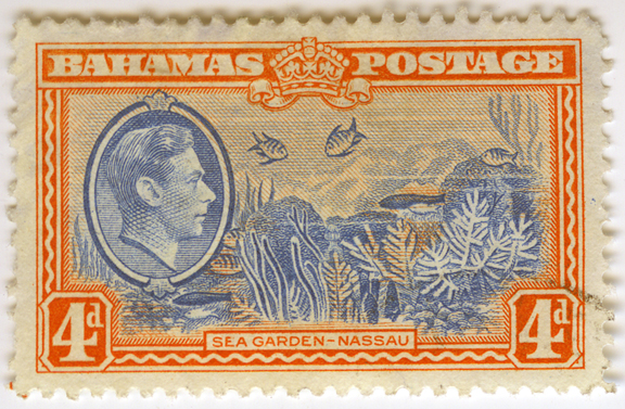 Sea Garden Nassau Definitive