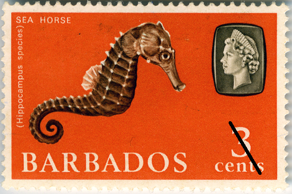 Corrected Seahorse