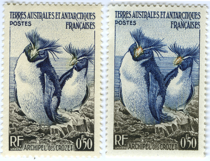 Shades of Rockhopper Penguin Definitive