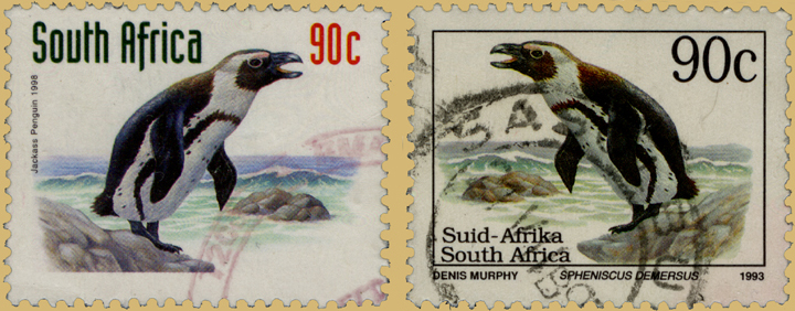 African Penguin Definitives